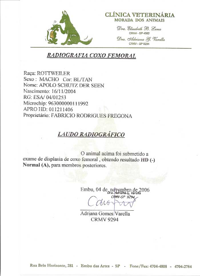 Laudo de HD do Apolo