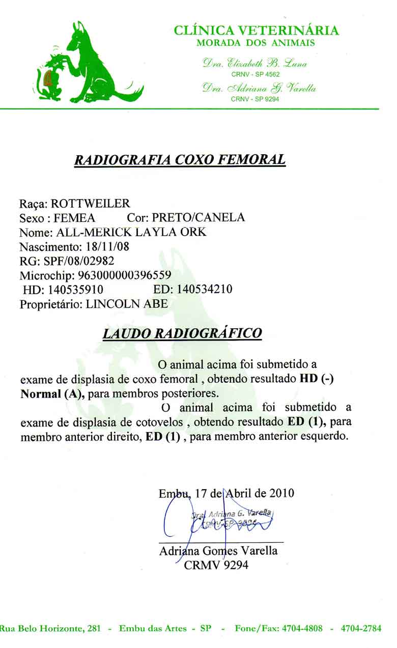 Laudo de HD e ED da Lexie
