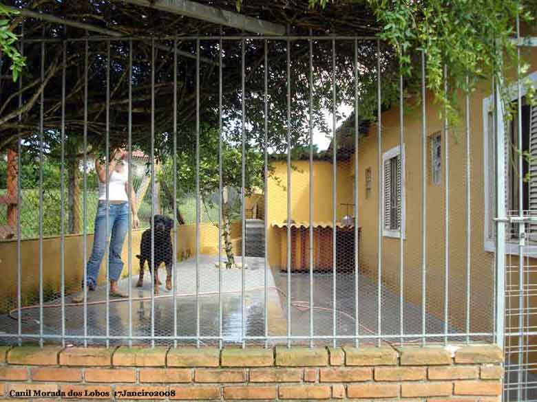 Canil Morada dos Lobos - Rottweilers