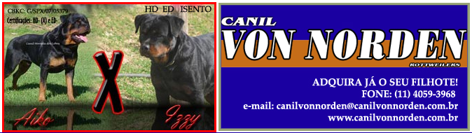 Ninhada do Aiko da Morada dos Lobos - Rottweiler