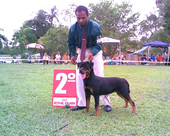 Brida