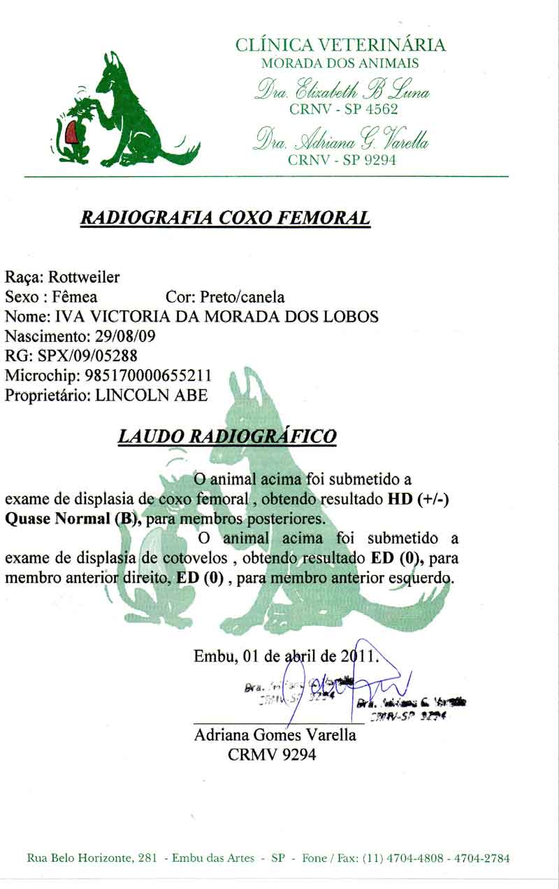 Laudo de HD e ED da Iva
