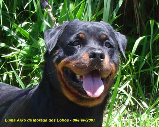 Luma Arko da Morada dos Lobos