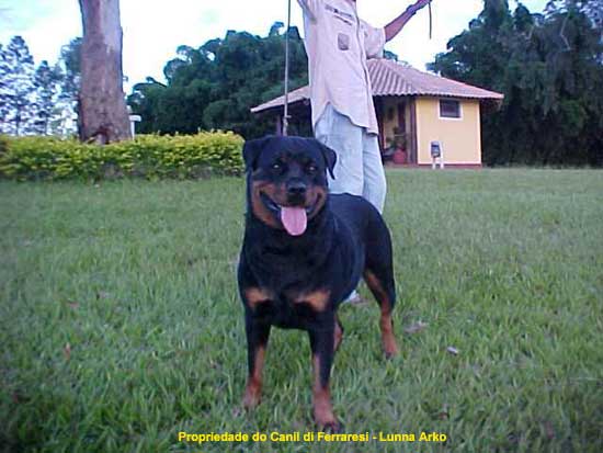 Lunna Arko da Morada dos Lobos